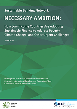 Picture of Necessary Ambition - 2020