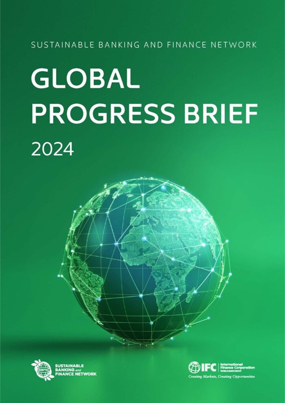 Global Progress brief image