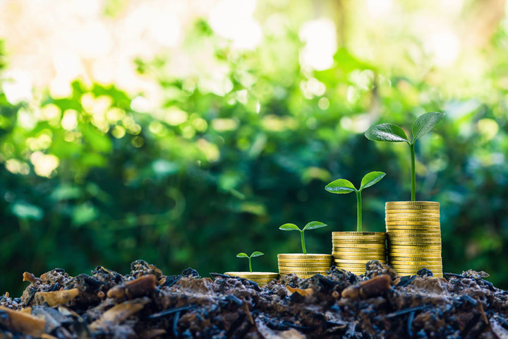 picture of Viet Nam Makes Significant Progress in Sustainable Finance Reforms