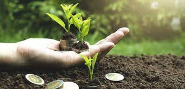 picture of Creating Green Bond Markets